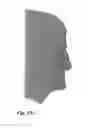Fig. 22 - Security element