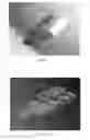 Fig. 06 - MILLIMETER WAVE ENERGY SENSING WAND AND METHOD