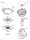 Fig. 80 - LED lamps with improved quality of light