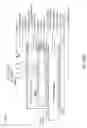 Fig. 83 - LED lamps with improved quality of light