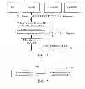 Fig. 07 - Method and device for accessing and obtaining user equipment context and user equipment identity