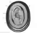 Fig. 01 - Wireless earplug with improved sensitivity and form factor