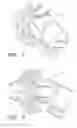Fig. 02 - Wireless control system for personal communication device