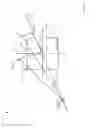 Fig. 06 - TRUE SPACE TRACKING OF AXISYMMETRIC OBJECT FLIGHT USING DIAMETER MEASUREMENT