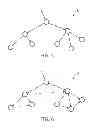 Fig. 06 - Endoscopic registration of vessel tree images