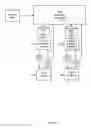 Fig. 06 - Methods and systems for optical imaging or epithelial luminal organs by beam scanning thereof