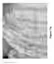 Fig. 28 - Blemish Removal