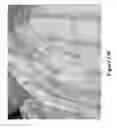 Fig. 29 - Blemish Removal