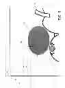 Fig. 09 - Image processing apparatus and image processing method with image inpainting