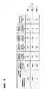 Fig. 09 - Image processing apparatus, image processing method and program