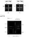 Fig. 10 - Image processing apparatus, image processing method and program