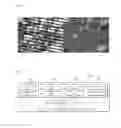Fig. 02 - Method and system for correction of optical satellite image