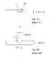 Fig. 08 - Thermocompression bonding structure and thermocompression bonding method