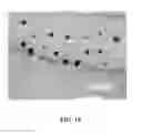 Fig. 20 - Solid silver-copper alloy having mainly a non-eutectic structure not containing a eutectic at room temperature