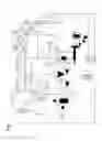 Fig. 02 - Plants and processes for forming polymers