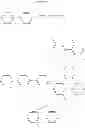 Fig. 35 - OLIGOPHENYLENE MONOMERS AND POLYMERIC PRECURSORS FOR PRODUCING GRAPHENE NANORIBBONS