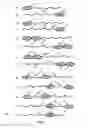 Fig. 02 - Extended recombinant polypeptides and compositions comprising same