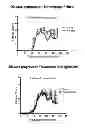 Fig. 08 - Combination therapy with interferon and andrographolides for Multiple Sclerosis