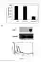 Fig. 04 - METHODS FOR INCREASING THE POTENCY AND EFFICACY OF STEM CELLS