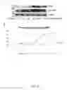 Fig. 10 - METHODS FOR INCREASING THE POTENCY AND EFFICACY OF STEM CELLS