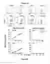Fig. 07 - Fully human, anti-mesothelin specific chimeric immune receptor for redirected mesothelin-expressing cell targeting