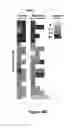 Fig. 09 - Fully human, anti-mesothelin specific chimeric immune receptor for redirected mesothelin-expressing cell targeting