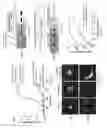 Fig. 06 - Composition for a mitotic remodeling of chromosomes