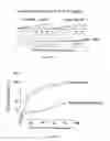 Fig. 15 - Composition for a mitotic remodeling of chromosomes