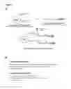 Fig. 04 - Methods for coupling targeting peptides onto recombinant lysosomal enzymes for improved treatments of lysosomal storage diseases