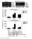 Fig. 02 - Use of GSTP1
