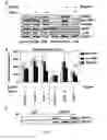 Fig. 05 - Use of GSTP1