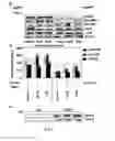 Fig. 06 - Use of GSTP1