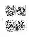 Fig. 05 - Perhydrolase