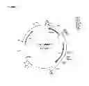 Fig. 07 - Perhydrolase