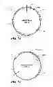 Fig. 14 - Perhydrolase