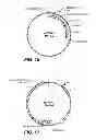 Fig. 16 - Perhydrolase