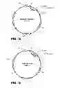 Fig. 17 - Perhydrolase