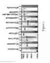 Fig. 04 - Triple Acting Antimicrobials That Are Refractory To Resistance Development