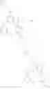 Fig. 79 - Substituted benzimidazoles