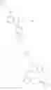 Fig. 80 - Substituted benzimidazoles