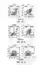 Fig. 08 - Compositions including triciribine and trastuzumab and methods of use thereof