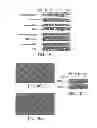 Fig. 10 - Compositions including triciribine and trastuzumab and methods of use thereof