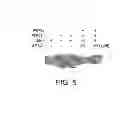 Fig. 12 - Compositions including triciribine and trastuzumab and methods of use thereof
