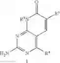 Fig. 105 - Combination Therapies for Treating Hematologic Malignancies Using Pyridopyrimidinone Inhibitors of PI3K/mTOR with Bendamustine and/or Rituximab