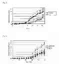 Fig. 06 - Novel Antibodies and Uses Thereof