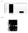 Fig. 07 - Novel Antibodies and Uses Thereof