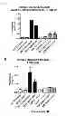 Fig. 02 - Immunological Targeting of Pathological Tau Proteins