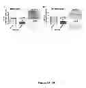 Fig. 06 - Immunological Targeting of Pathological Tau Proteins