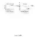 Fig. 08 - Immunological Targeting of Pathological Tau Proteins