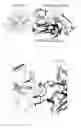 Fig. 08 - Thrombin-binding antibody molecules